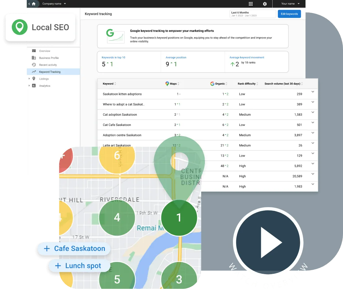 Local SEO ranking dashboard